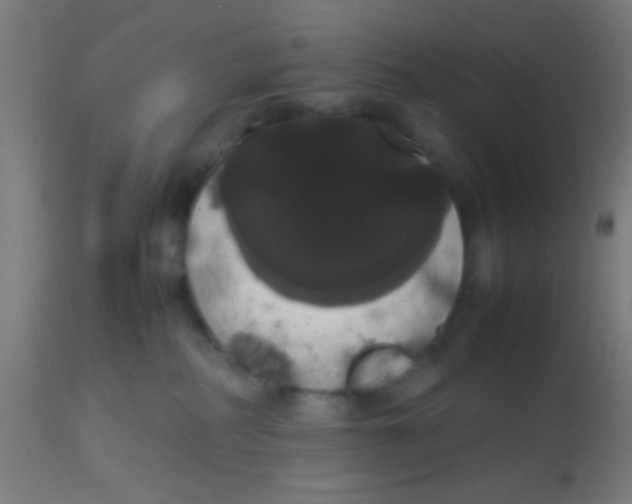 X0000113850234200910221426