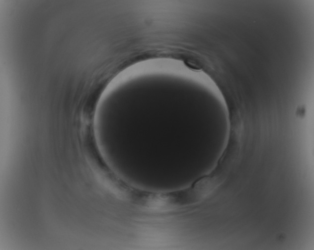 X0000113850235200910221426