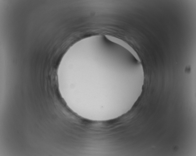 X0000113850237200910221426