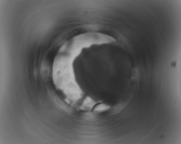 X0000113850238200910221426