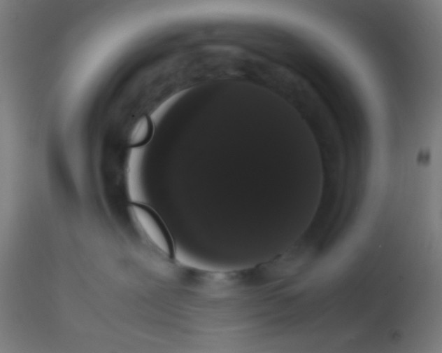 X0000113850239200910221426