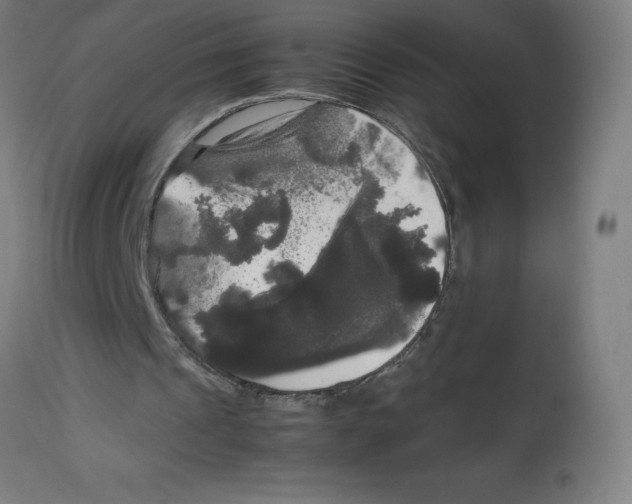 X0000113850241200910221425