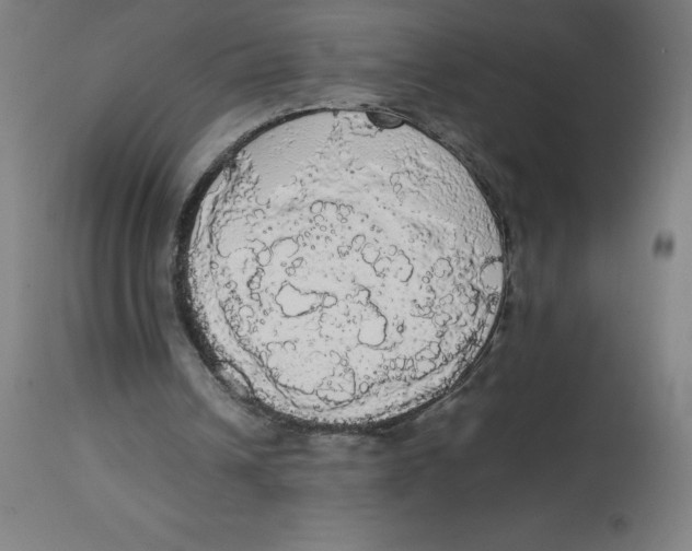 X0000113850242200910221425