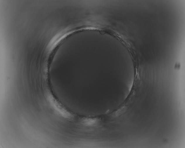 X0000113850247200910221425