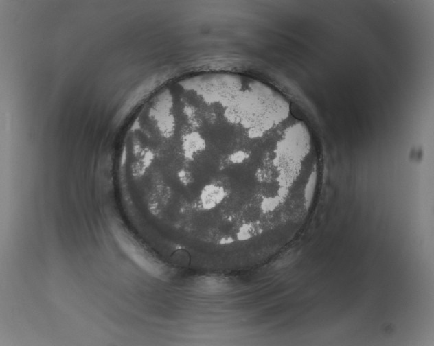 X0000113850250200910221425