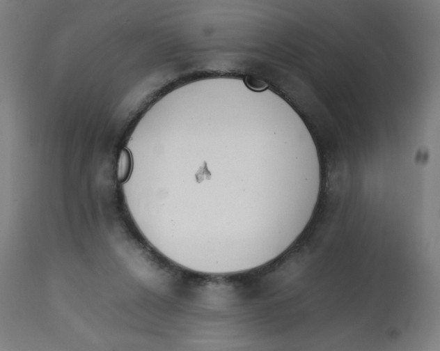 X0000113850256200910221425