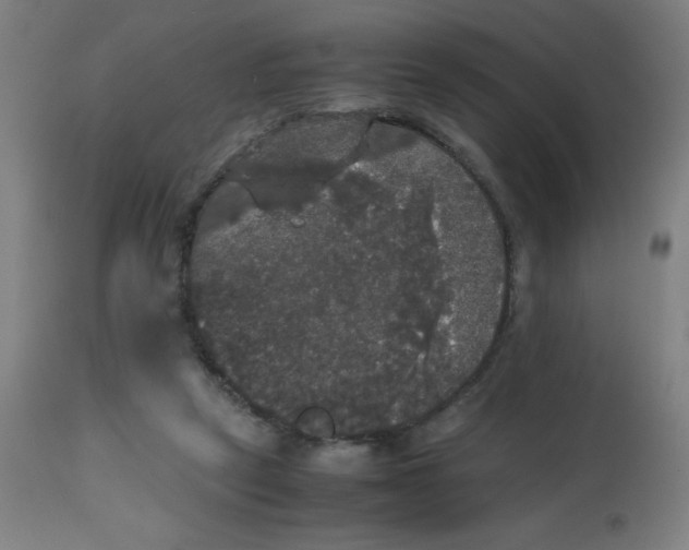 X0000113850257200910221425