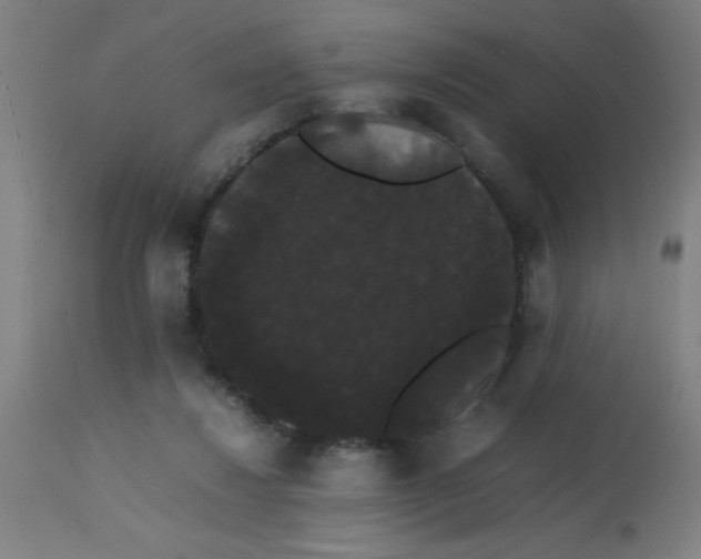 X0000113850260200910221425