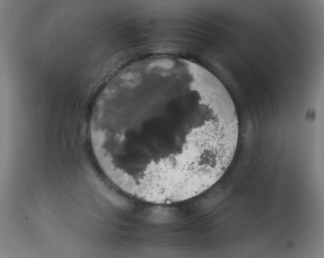 X0000113850261200910221425