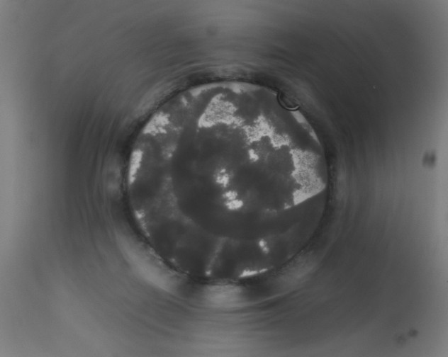 X0000113850266200910221425