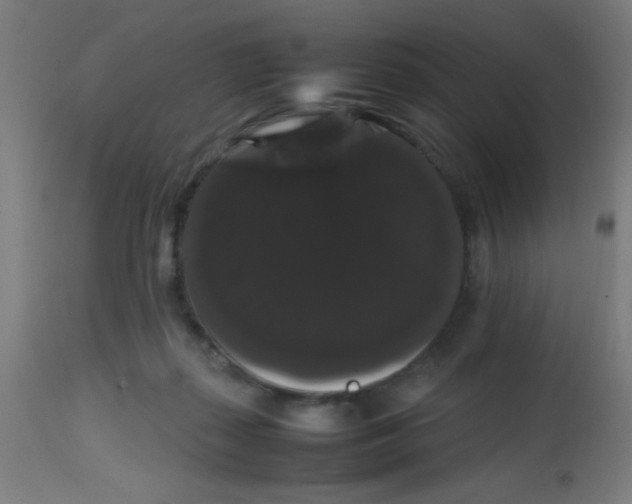 X0000113850267200910221425