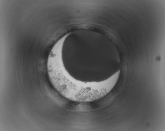 X0000113850270200910221425