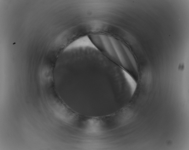 X0000113850272200910221425