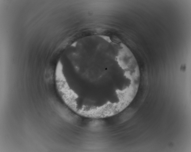 X0000113850274200910221425