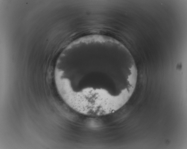 X0000113850275200910221426