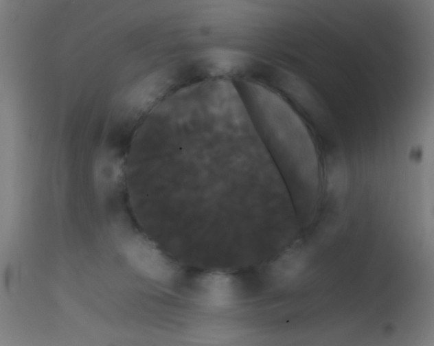 X0000113850276200910221426