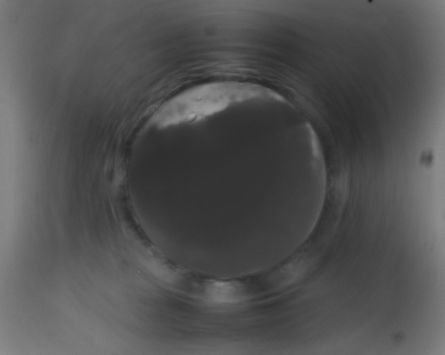 X0000113850277200910221426