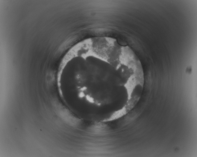 X0000113850278200910221426