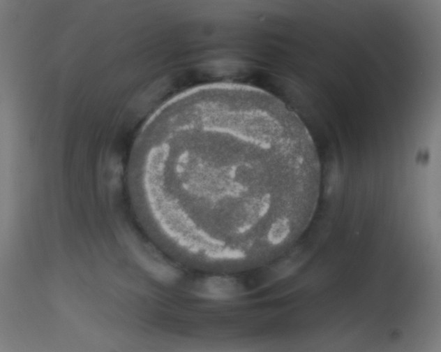 X0000113850279200910221426