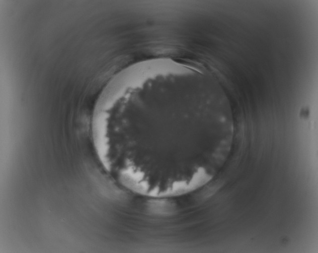 X0000113850281200910221426