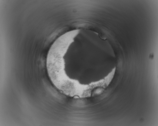 X0000113850282200910221426