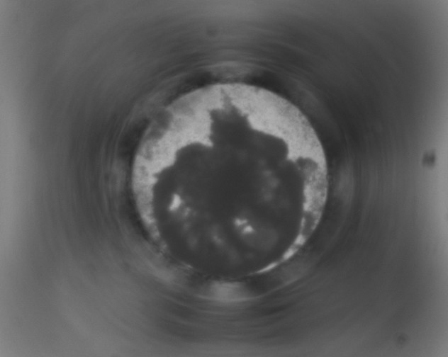 X0000113850283200910221426