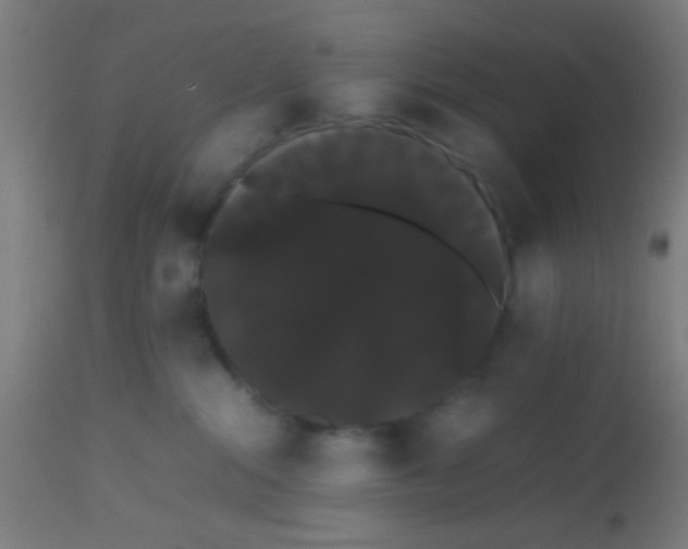 X0000113850284200910221426