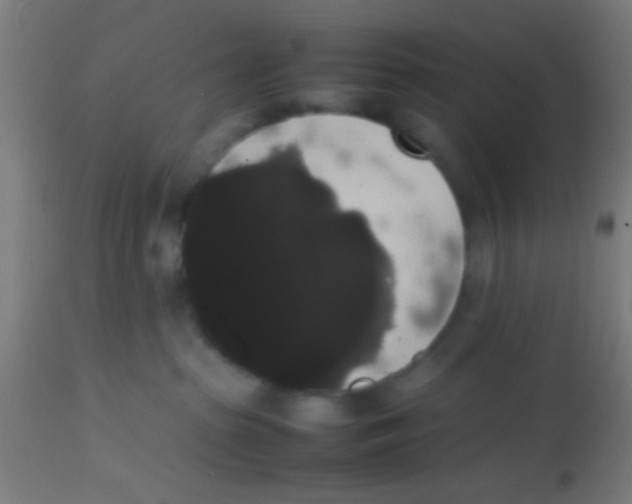 X0000113850285200910221426