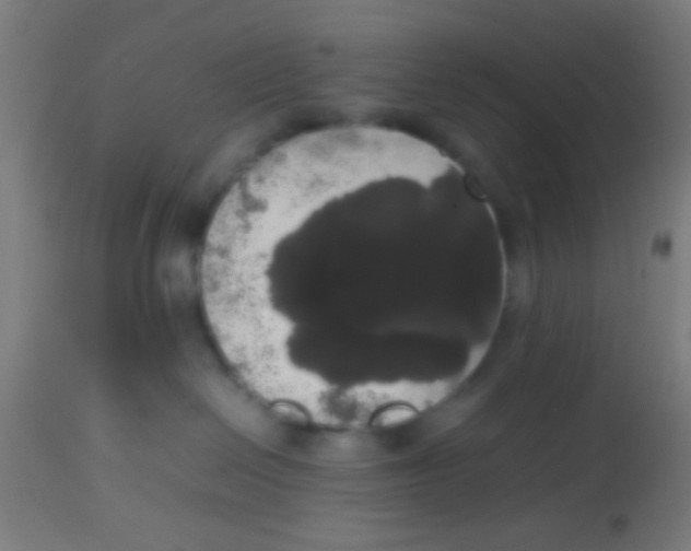 X0000113850286200910221426