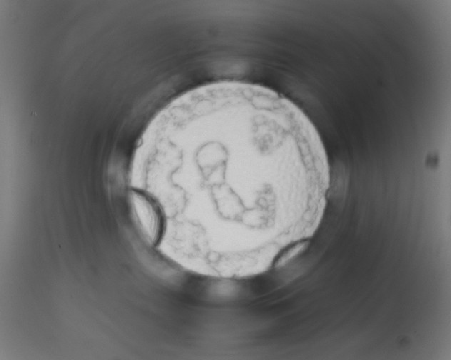 X0000113850287200910221426