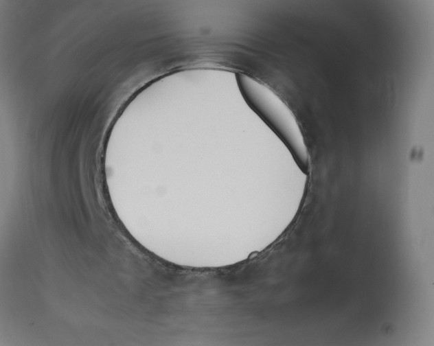 X0000113850289200910221425