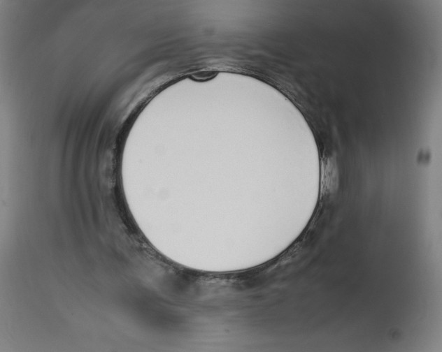 X0000113850291200910221425