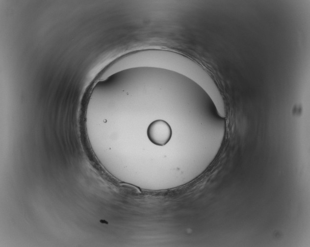 X0000113850292200910221425