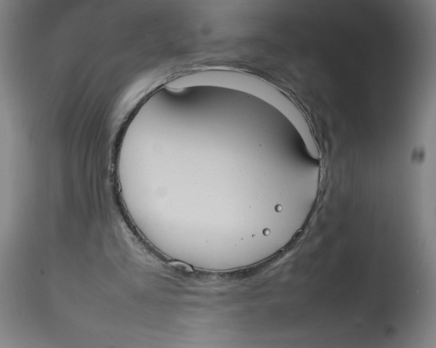 X0000113850293200910221425