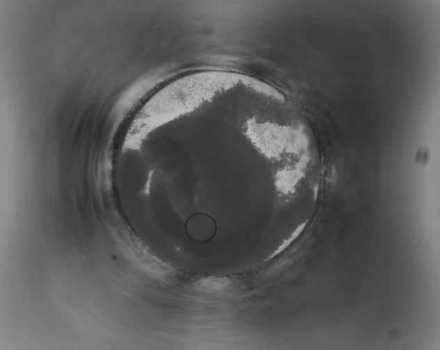 X0000113850294200910221425