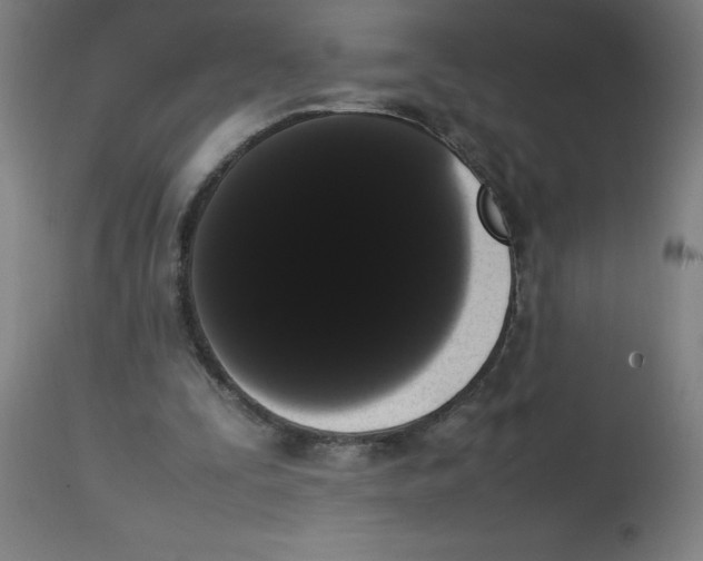 X0000113850295200910221425