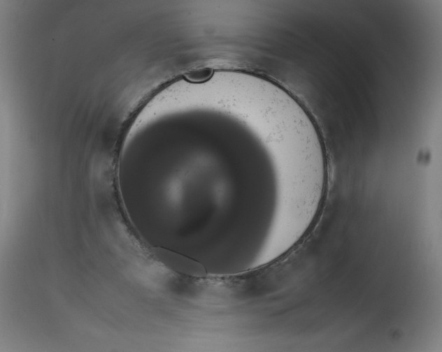 X0000113850297200910221425