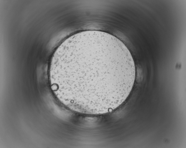 X0000113850302200910221425