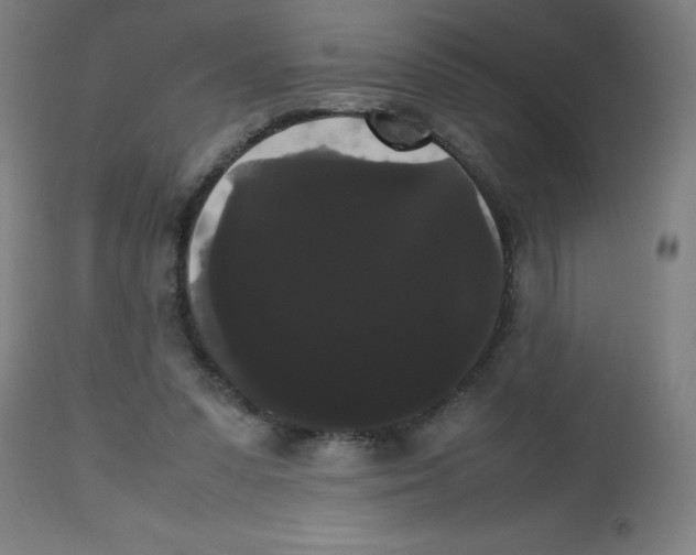 X0000113850303200910221425