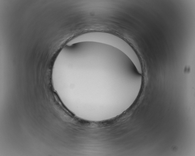 X0000113850305200910221425