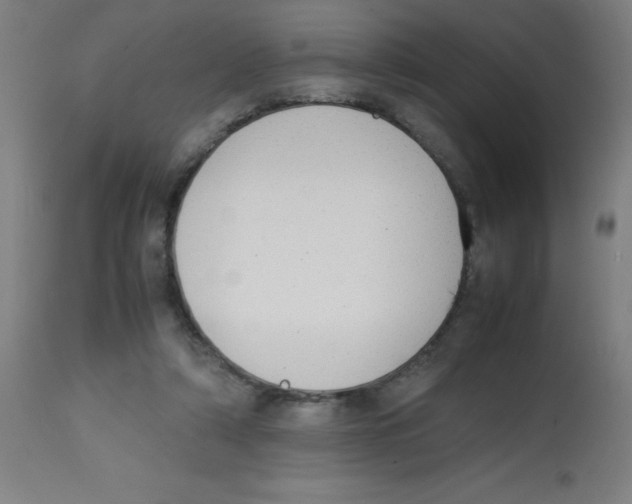 X0000113850306200910221425