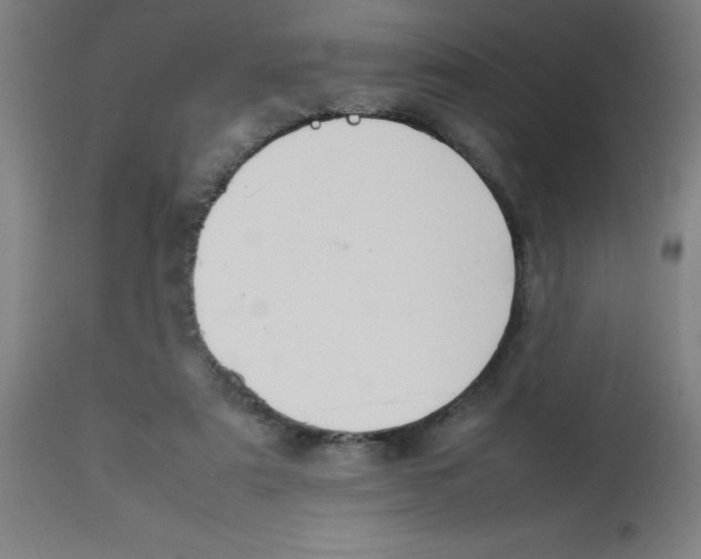 X0000113850307200910221425