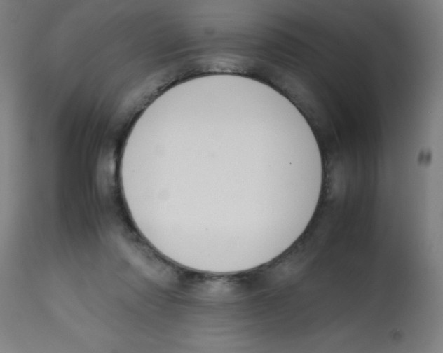 X0000113850310200910221425