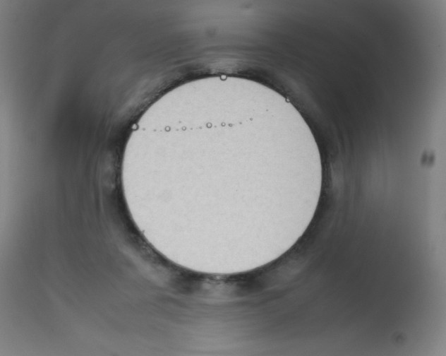 X0000113850311200910221425