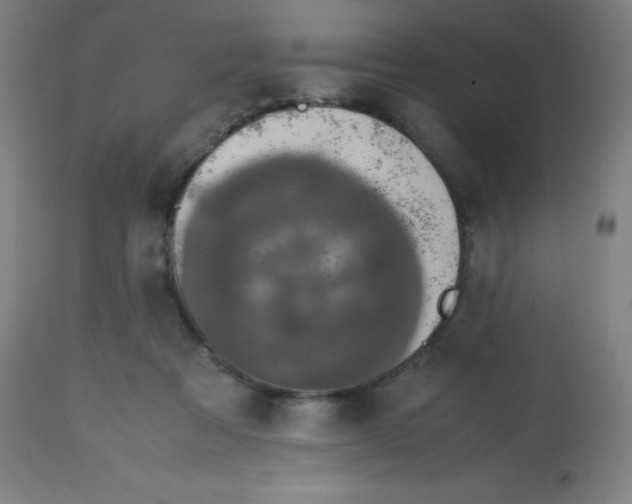 X0000113850313200910221425