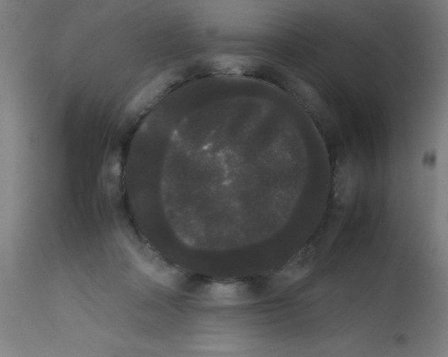 X0000113850314200910221425