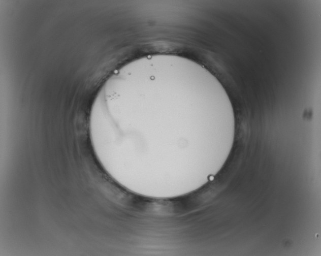 X0000113850317200910221425