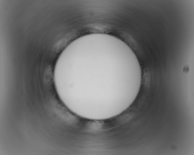 X0000113850318200910221425