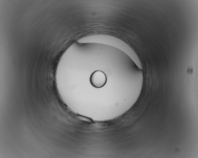 X0000113850320200910221425