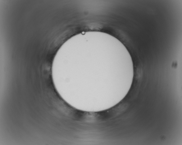 X0000113850321200910221425